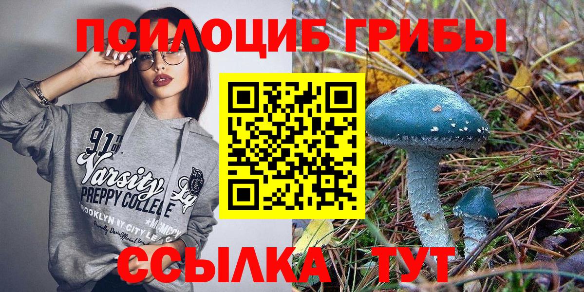 Губаха  Псилоцибиновые грибы мухоморы  Вход с VPN 