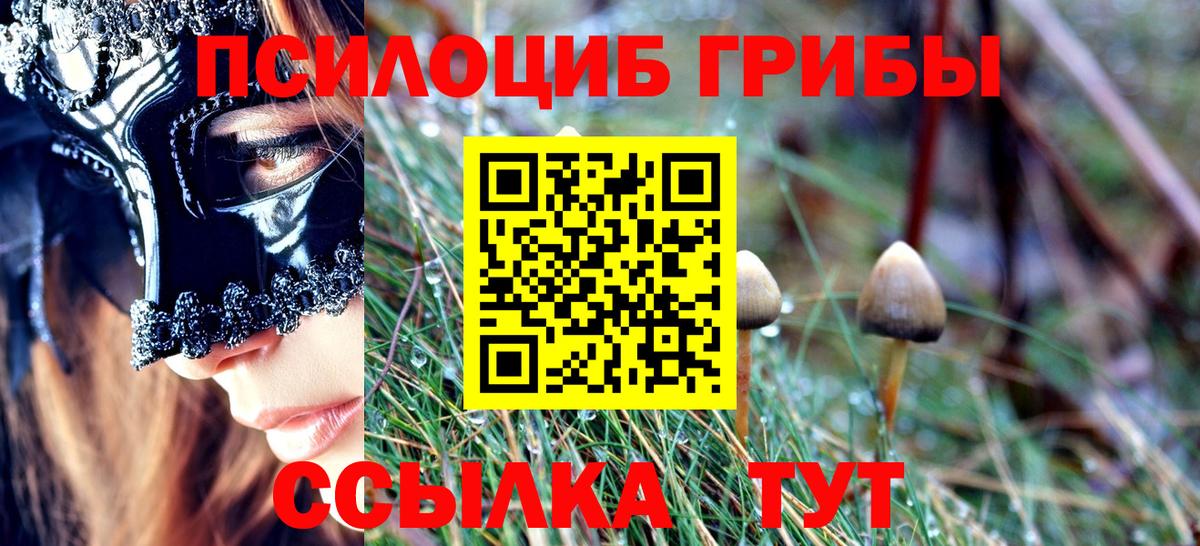Псилоцибиновые грибы Psilocybine cubensis Губаха